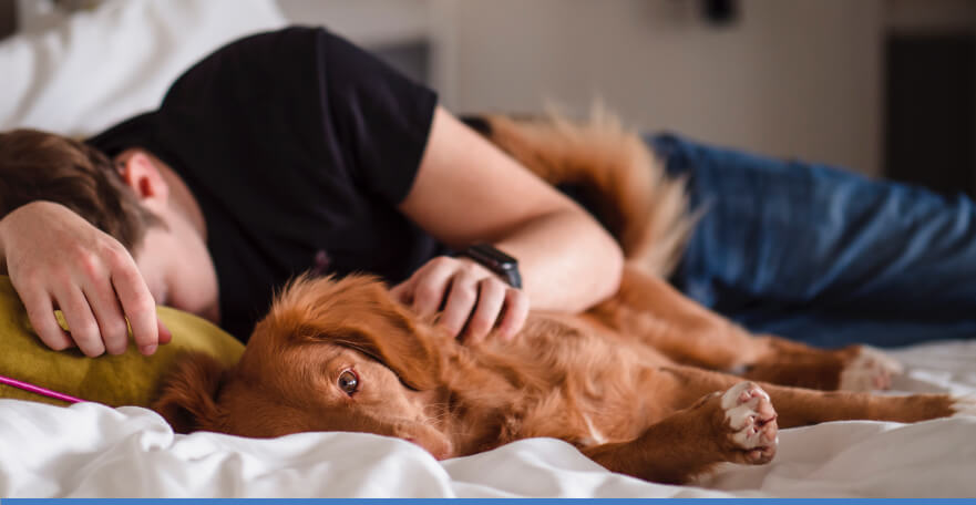 why do dogs love cuddling